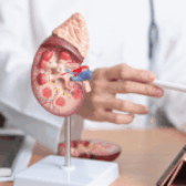 İleri Yaşta Böbrek Kanseri Tanısı, Tedavi Seçenekleri ve Yaşam Kalitesi