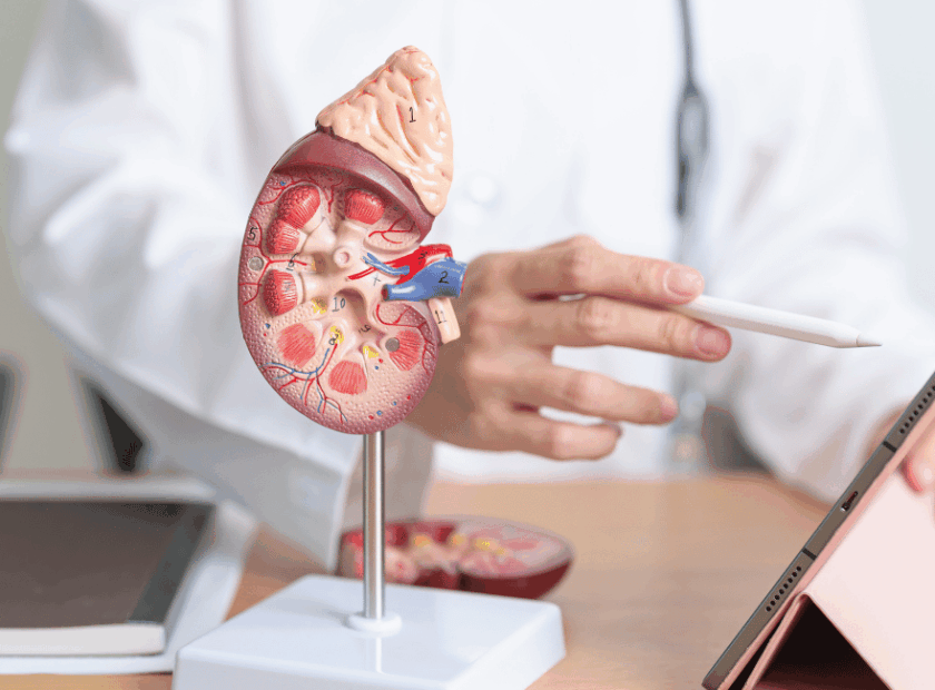 ileri yasta bobrek kanseri tanisi 840x620